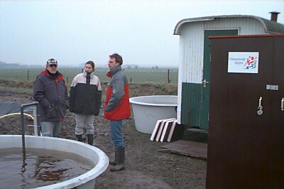 kwek_07.jpg (47972 bytes)