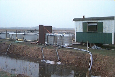 kwek_10.jpg (49284 bytes)