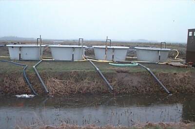 kwek_11.jpg (50461 bytes)